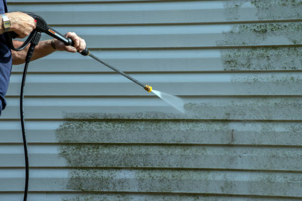Best Patio and Deck Pressure Washing  in Monticello, IL