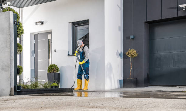 Best Roof Washing  in Monticello, IL